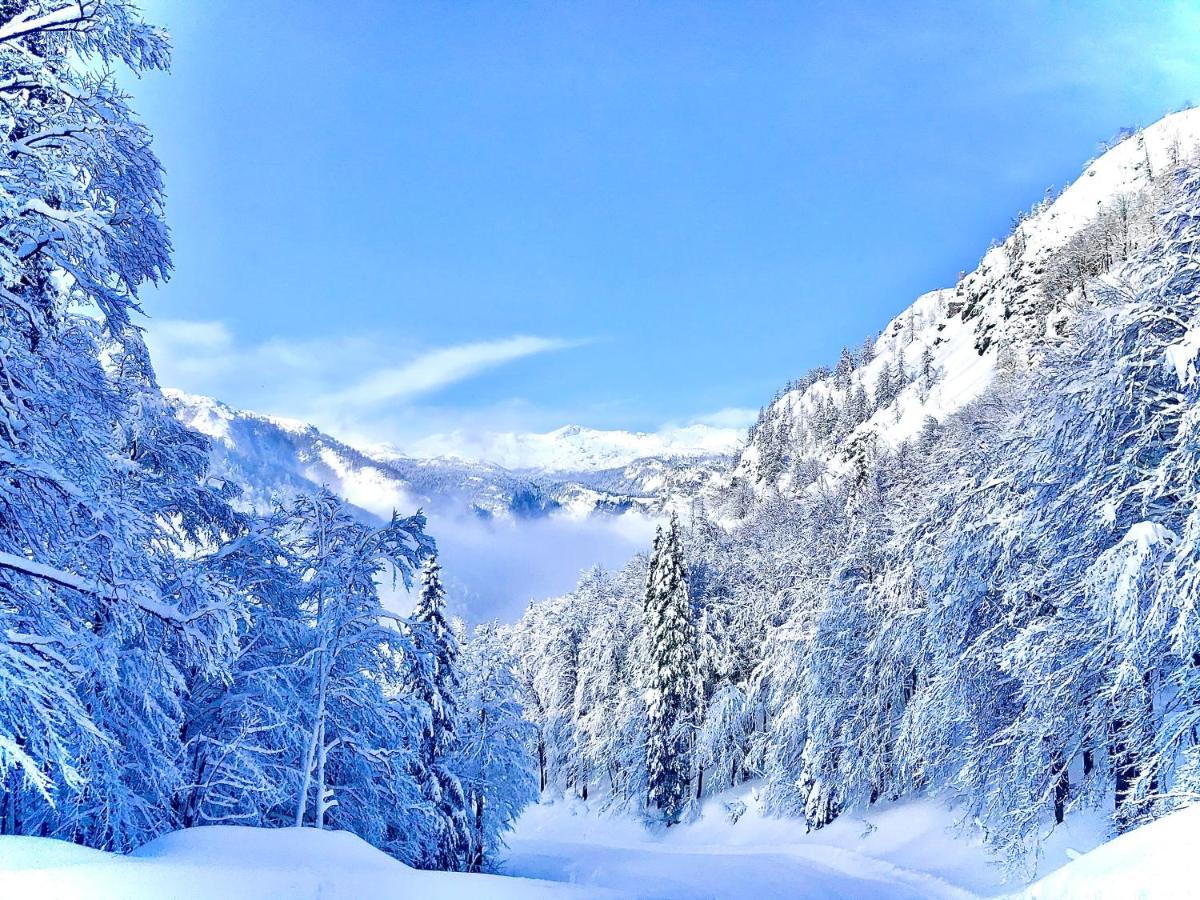Residence Aurora, Bohinj Εξωτερικό φωτογραφία
