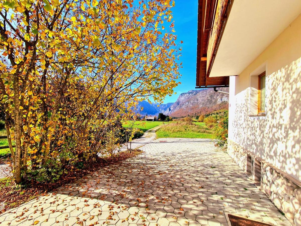 Residence Aurora, Bohinj Εξωτερικό φωτογραφία