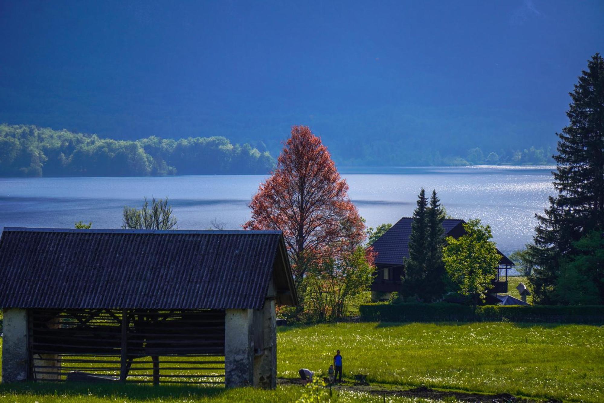 Residence Aurora, Bohinj Εξωτερικό φωτογραφία